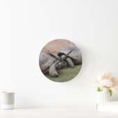 Horloge Ronde tortues géantes (Maison)
