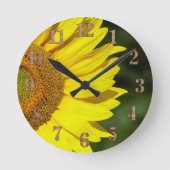 Horloge Ronde Tournesol (Recto)