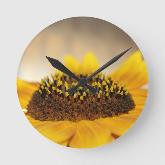 Horloge Ronde Tournesol (Recto)