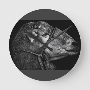 Horloge Ronde tout de suite