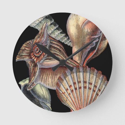 Horloge Ronde Trésors de la mer (Recto)