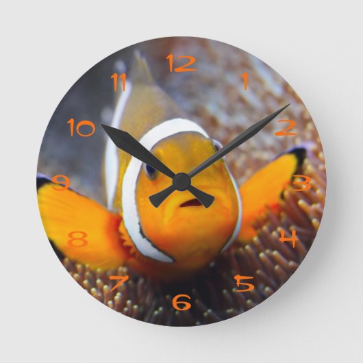Horloge Ronde Tropcal reef fish (Recto)
