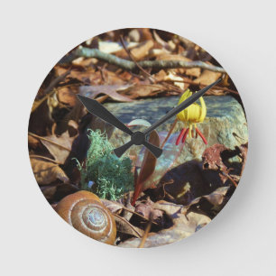 Horloge Ronde Truite jaune et prune Lily et Coquille d'escargot
