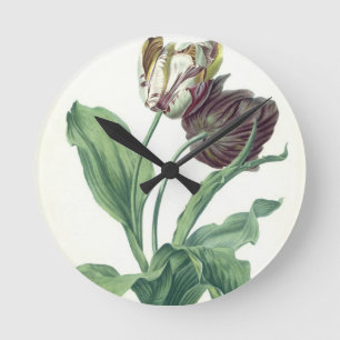 Horloge Ronde Tulipe de jardin, de "opéra Botanica", gravé par