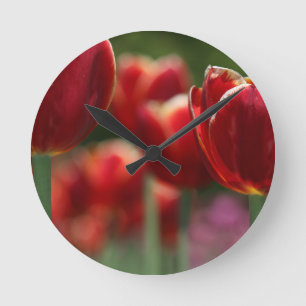 Horloge Ronde Tulipes