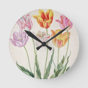 Horloge Ronde Tulipes, du "Florilegium de Nassau" (la semaine