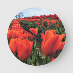 Horloge Ronde Tulips orange à Field, Oregon