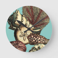 Turquoise Shell et collection de corail rouge