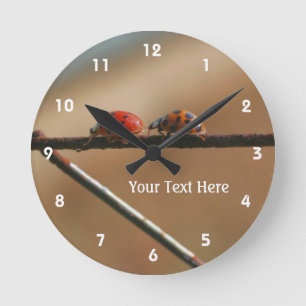 Horloge Ronde Two Ladybugs Playing Follow The Leader Nature