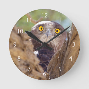 Horloge Ronde Un Aigle à serpent à poitrine blanche