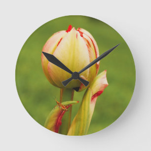 Horloge Ronde Un bourgeon de tulipe