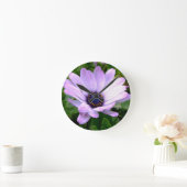 Horloge Ronde Un centre d'araignées (Maison)