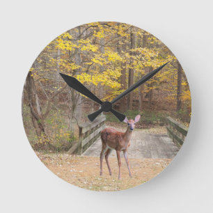 Horloge Ronde Un cerf dans le parc