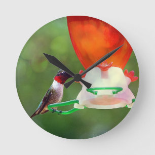 Horloge Ronde Un colibri à gorge rubis