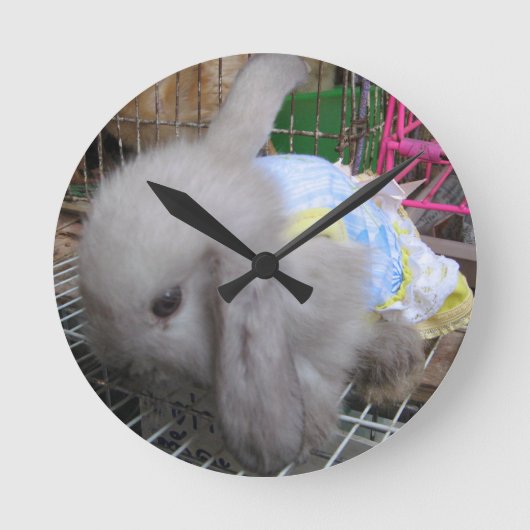 Horloge Ronde Un lapin en robe (Recto)