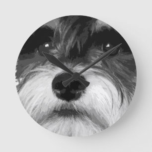 Horloge Ronde Un Schnauzer miniature noir et blanc