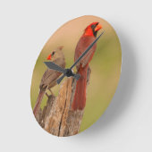 Horloge Ronde USA, Texas, comté d'Hidalgo. Cardinal Pair (Angle)