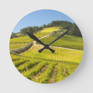 Horloge Ronde Vignoble, Stellenbosch, Western Cape