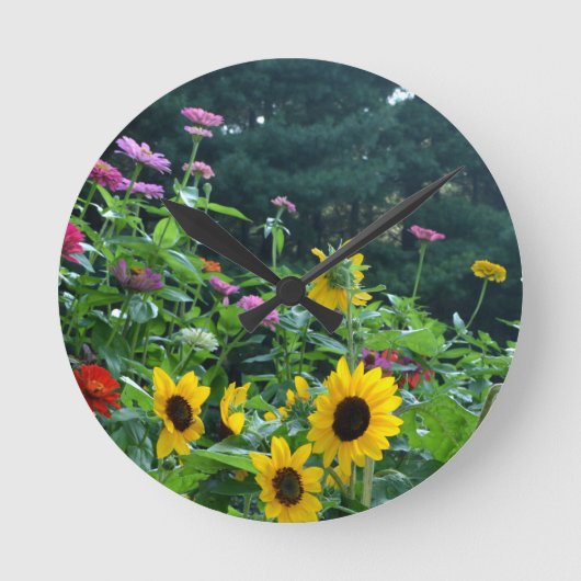 Horloge Ronde Vue jardin- tournesol, marguerites, cosmos (Recto)