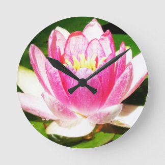 Horloge Ronde Water Lily in crimean garden