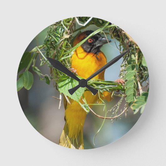 Horloge Ronde Weaver Bird (Recto)