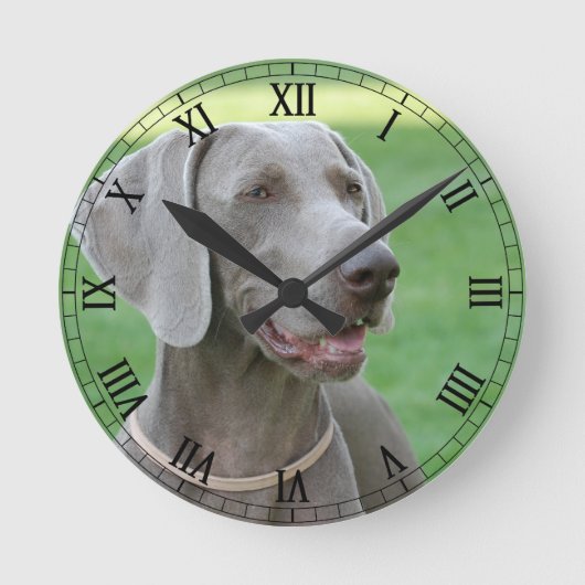 Horloge Ronde Weimaraner (Recto)
