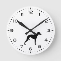 Whippet Dog Breed