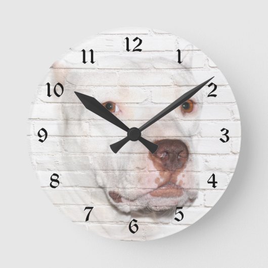 Horloge Ronde White bully Pitbull (Recto)