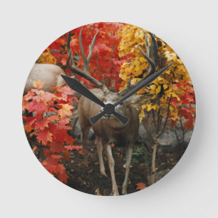 Horloge Ronde Whitetail En Automne