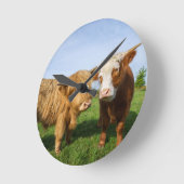 Horloge Ronde Young Highland Cows (Angle)