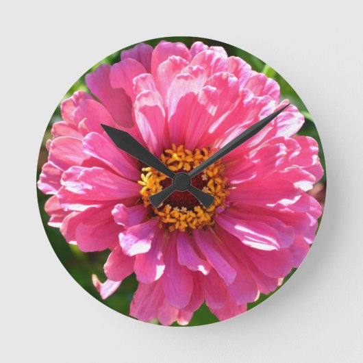 Horloge Ronde Zinnia rose (Recto)