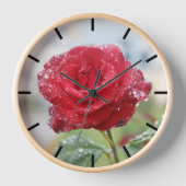 Horloge Rose en gouttes de pluie (Recto)