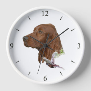 Horloge Setter irlandais