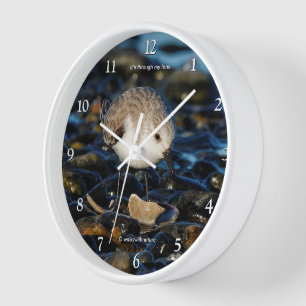 Horloge Shorebird Dines on Clam