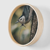 Horloge Sittelle (Angle)