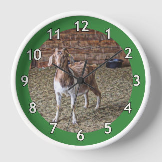 Horloge Solo Goat Kid