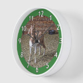 Horloge Solo Goat Kid (Angle)