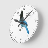 Horloge Stellar Blue Jay (Angle)