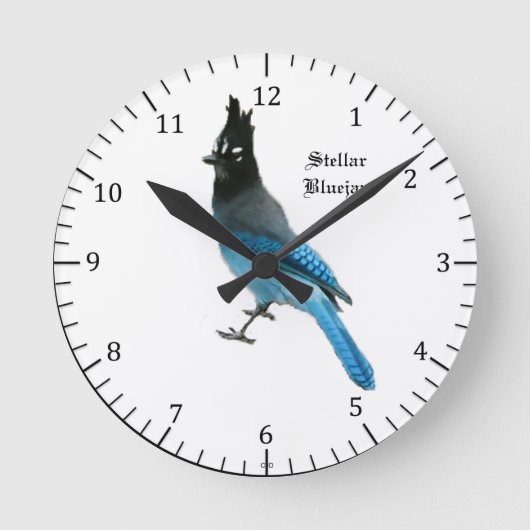 Horloge Stellar Blue Jay (Recto)