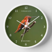 Horloge Stunning Ruf Hummingbird on the Cherry Tree (Recto)