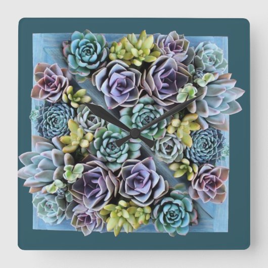 horloge succulente (Recto)