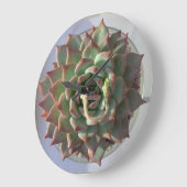 Horloge succulente (Angle)
