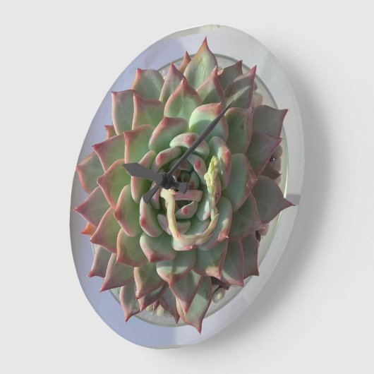 Horloge succulente (Angle)