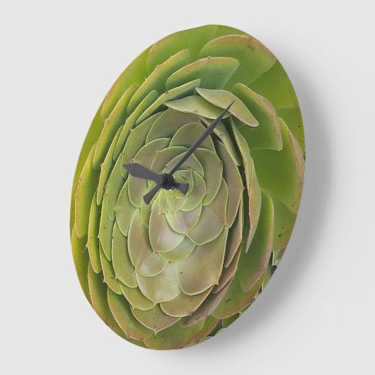 Horloge Succulente (Angle)