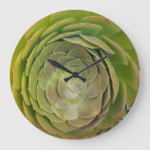 Horloge Succulente (Recto)