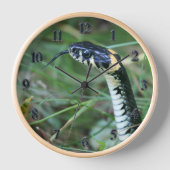 Horloge Tête de serpent (Recto)