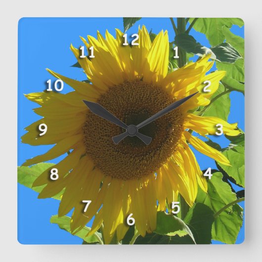Horloge - Tournesol (Recto)