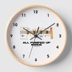 Horloge Tout pompé à l'intérieur Transport Actif Pompe Na-