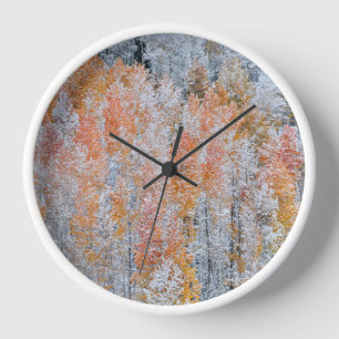 Horloge Trembles & Neige Montagnes Rocheuses, Colorado