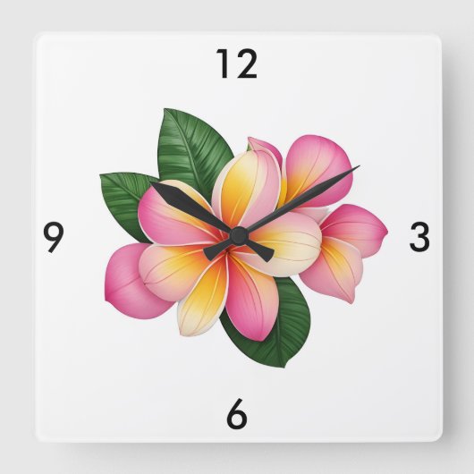 Horloge tropicale (Recto)